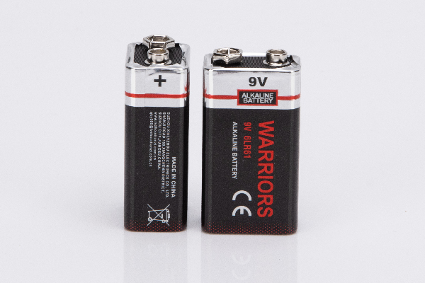 6LR61（9V碱性电池） 850分钟-CE